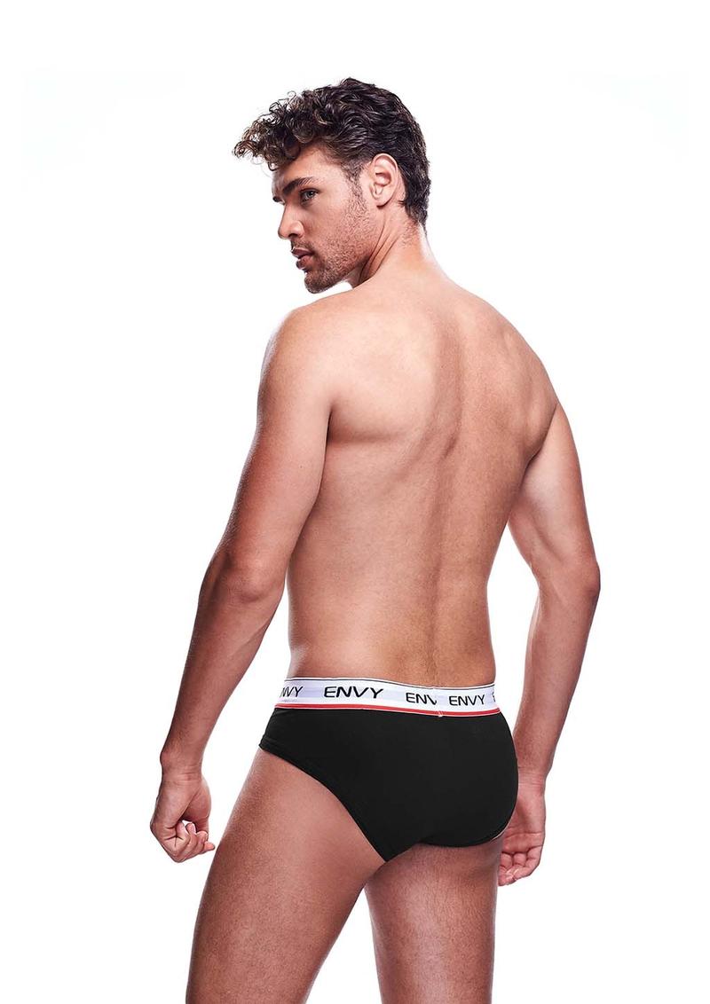 Envy Mesh Brief L/XL