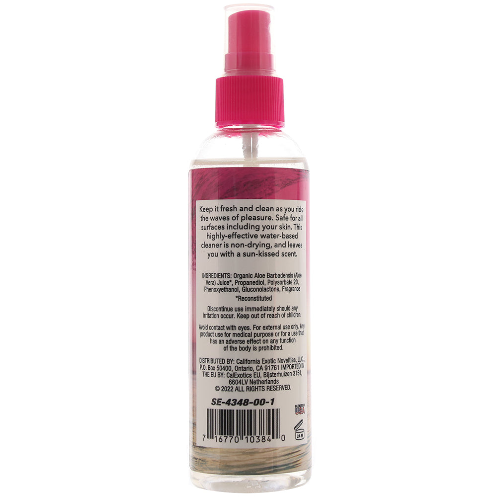 California Dreaming Toy Cleaner 4oz/120ml in Summer Breeze