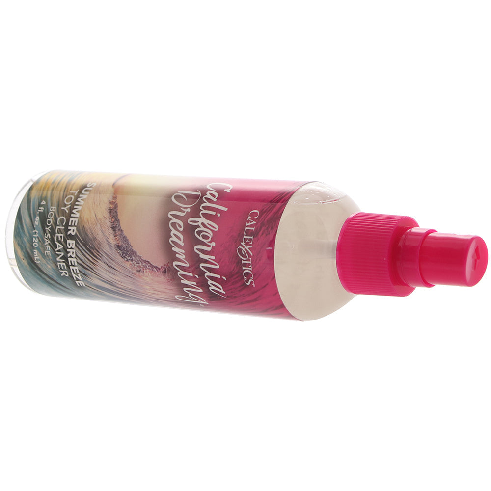 California Dreaming Toy Cleaner 4oz/120ml in Summer Breeze