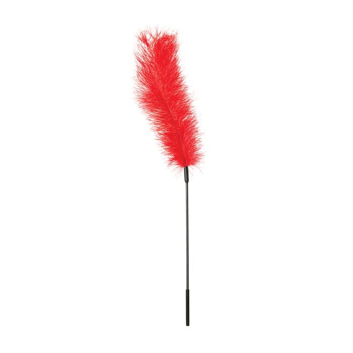 Pluma de avestruz roja de Sportsheets Body Tickler