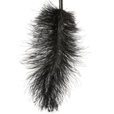 Ostrich Feather Body Tickler in Black