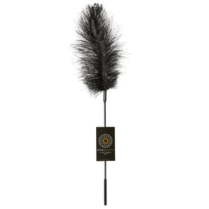 Ostrich Feather Body Tickler in Black