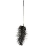 Ostrich Feather Body Tickler in Black